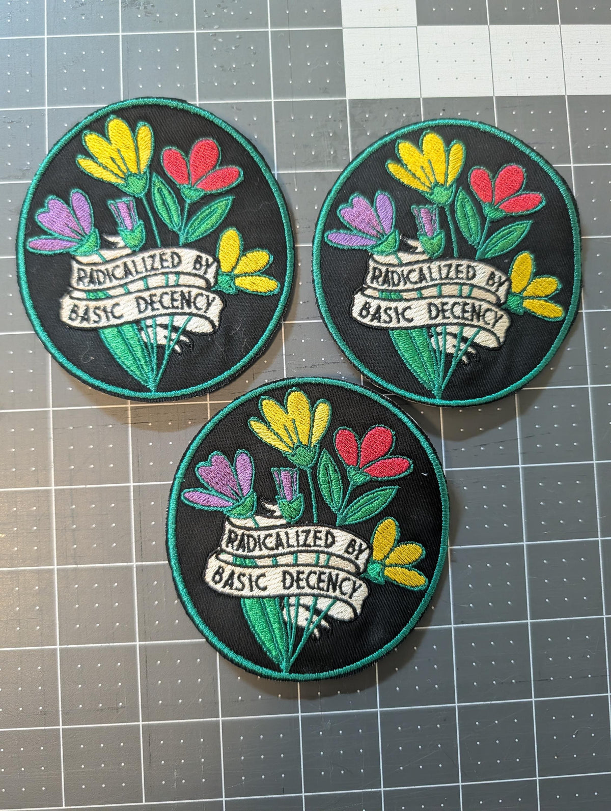Radicalized by Basic Decency Embroidered Patch